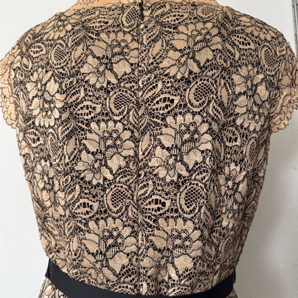 CALVIN KLEIN Tan and Back Lace Sheath Dress Size 10 - Picture 7 of 13